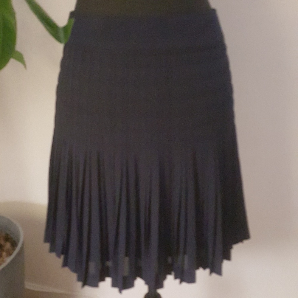J.Crew Pleated Skirt